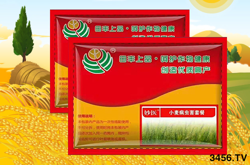 冬小麥為啥一片黃,一片青?原因已找到,快點來對照! 冬小麥為啥一片黃,一片青?原因已找到,快點來對照!