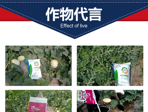 鑻卞浗鍗¤開澶紙鍖椾含錛夊啘涓氱鎶€鏈夐檺鍏徃浜у搧_07.jpg 鑻卞浗鍗¤開澶紙鍖椾含錛夊啘涓氱鎶€鏈夐檺鍏徃浜у搧_07.jpg