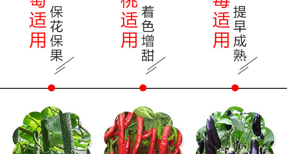 微量元素水溶肥-苒色-艾姆斯特 微量元素水溶肥-苒色-艾姆斯特