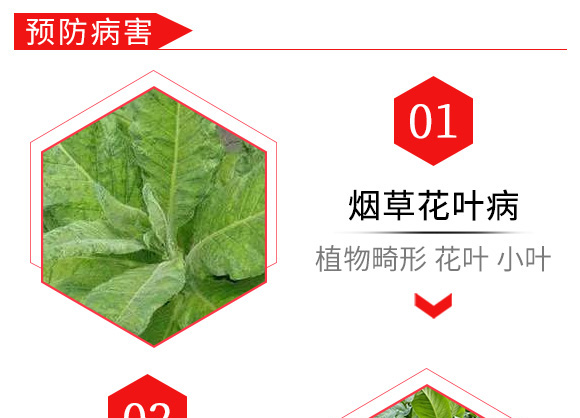 烯·羥·硫酸銅(20g)-倍爾金葉寶-倍爾農化 烯·羥·硫酸銅(20g)-倍爾金葉寶-倍爾農化