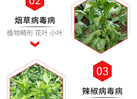 烯·羥·硫酸銅(20g)-倍爾金葉寶-倍爾農化 烯·羥·硫酸銅(20g)-倍爾金葉寶-倍爾農化