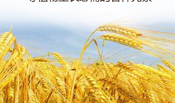 灞變笢鍐滀匠涓鐢熺墿縐戞妧鏈夐檺鍏徃鐢誨唽_09.jpg 灞變笢鍐滀匠涓鐢熺墿縐戞妧鏈夐檺鍏徃鐢誨唽_09.jpg