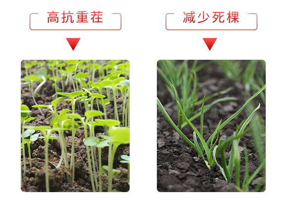 微生物菌劑-土煥金-安得泰 微生物菌劑-土煥金-安得泰