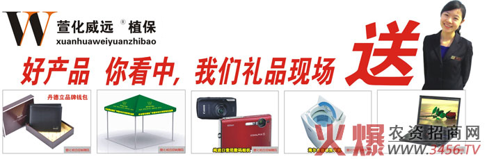 滯hrIƼ޹˾