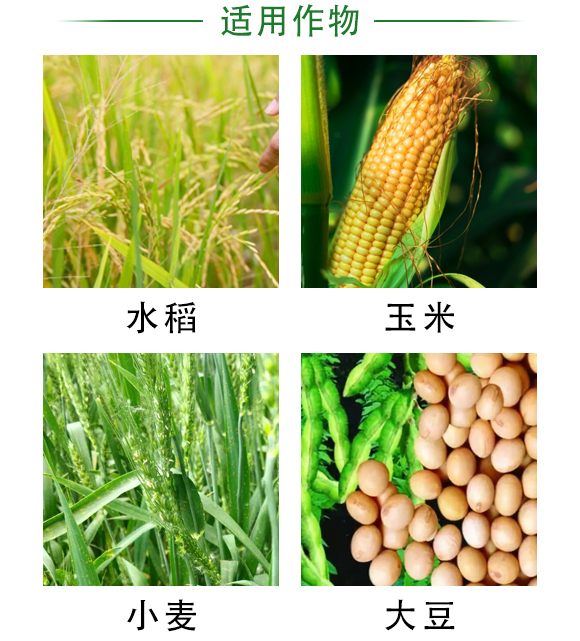 BSX-60T型比重篩選機-科邦農業機械