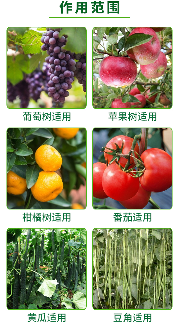 全能有機(jī)碳-海金剛-奧德福