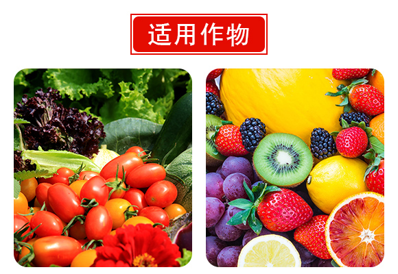 南阳?jng)龙昇化工有限公品详情页3_06.jpg