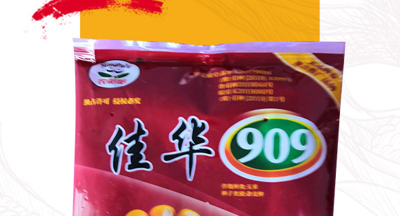 佳華909-玉米種子-天成種業 佳華909-玉米種子-天成種業