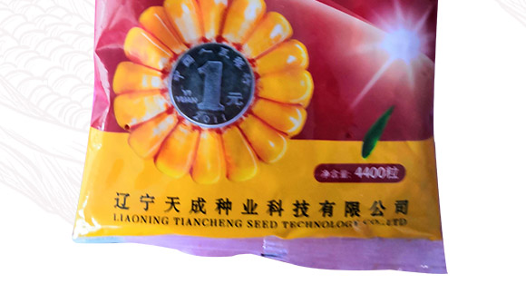 佳華909-玉米種子-天成種業 佳華909-玉米種子-天成種業