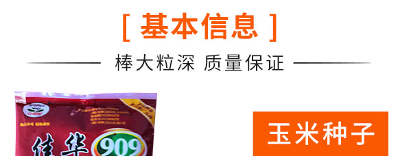 佳華909-玉米種子-天成種業 佳華909-玉米種子-天成種業