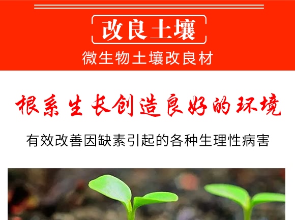 微生物土壤改良材-九星惠農 微生物土壤改良材-九星惠農