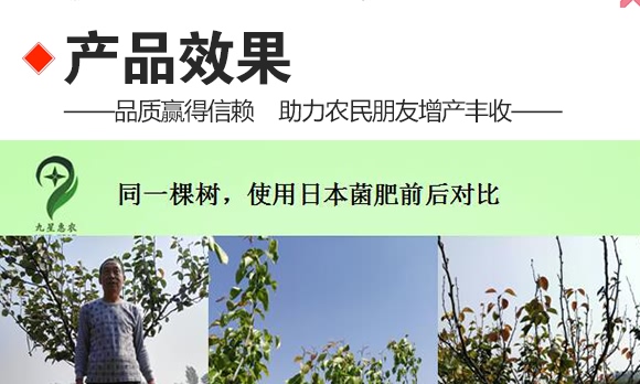 微生物土壤改良材-九星惠農 微生物土壤改良材-九星惠農