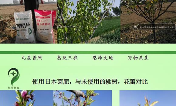 微生物土壤改良材-九星惠農 微生物土壤改良材-九星惠農