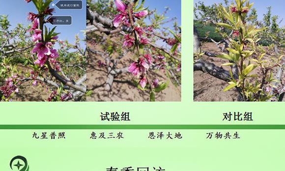 微生物土壤改良材-九星惠農 微生物土壤改良材-九星惠農