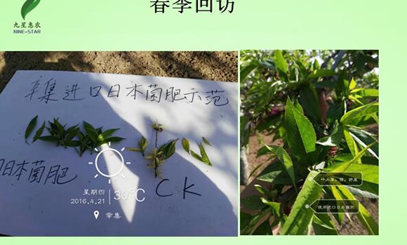 微生物土壤改良材-九星惠農 微生物土壤改良材-九星惠農