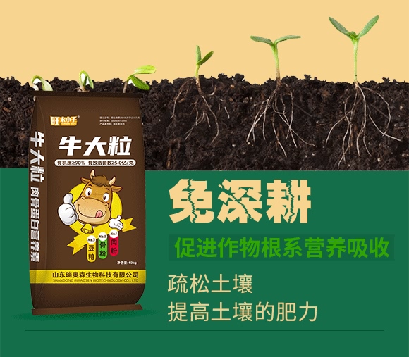 肉骨蛋白營養液-牛大粒-瑞奧森 肉骨蛋白營養液-牛大粒-瑞奧森