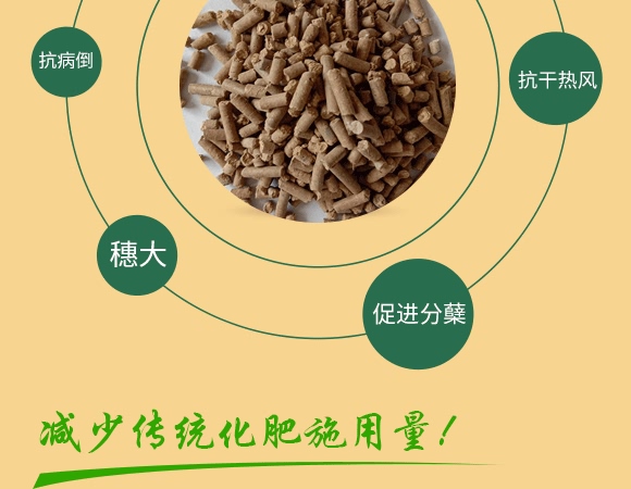 肉骨蛋白營養液-牛大粒-瑞奧森 肉骨蛋白營養液-牛大粒-瑞奧森