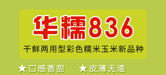 AŴ836-׷N-ANI