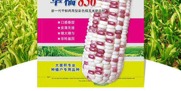 AŴ836-׷N-ANI