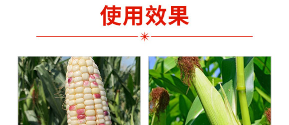 AŴ836-׷N-ANI