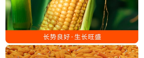 摻混肥料28-10-12（藍色）-沃豐
