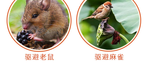 驅鳥香精包-鳥克-艾豐生物 驅鳥香精包-鳥克-艾豐生物