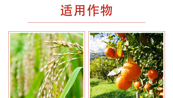 磷酸二氫鉀-利邦農化 磷酸二氫鉀-利邦農化