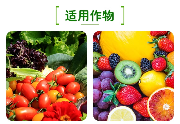 50%二氯異氰尿酸鈉-恩農帝禧-萊恩恩農 50%二氯異氰尿酸鈉-恩農帝禧-萊恩恩農