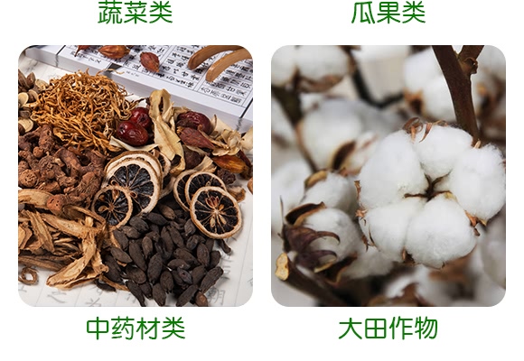 50%二氯異氰尿酸鈉-恩農帝禧-萊恩恩農 50%二氯異氰尿酸鈉-恩農帝禧-萊恩恩農