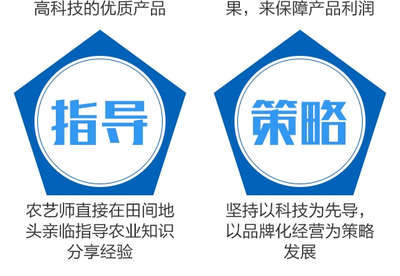 平衡型含氨基酸水溶肥料20-20-20-奧睿施 平衡型含氨基酸水溶肥料20-20-20-奧睿施