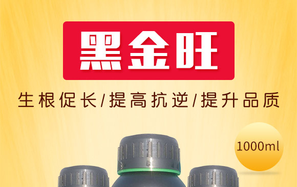 礦源黃腐酸氮肥-黑金旺-復寶作物 礦源黃腐酸氮肥-黑金旺-復寶作物