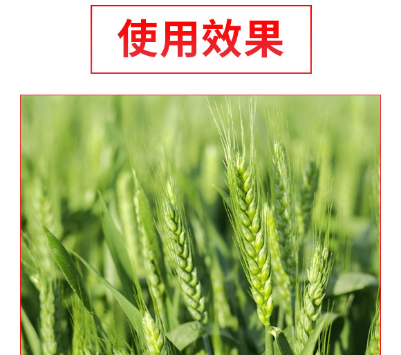 礦源黃腐酸氮肥-黑金旺-復寶作物 礦源黃腐酸氮肥-黑金旺-復寶作物