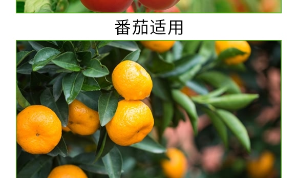 根寶·礦源腐殖酸鉀-碳戀-廣宇通 根寶·礦源腐殖酸鉀-碳戀-廣宇通