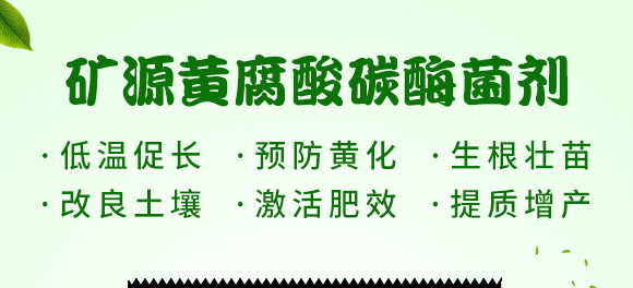 礦源黃腐酸碳酶菌劑-黃立翠-廣宇通 礦源黃腐酸碳酶菌劑-黃立翠-廣宇通