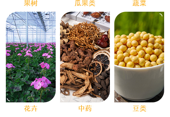 鐭挎簮榛勮厫閰擱捑-鍐滈湒涓?閾櫉鐢熺墿_05.jpg 鐭挎簮榛勮厫閰擱捑-鍐滈湒涓?閾櫉鐢熺墿_05.jpg