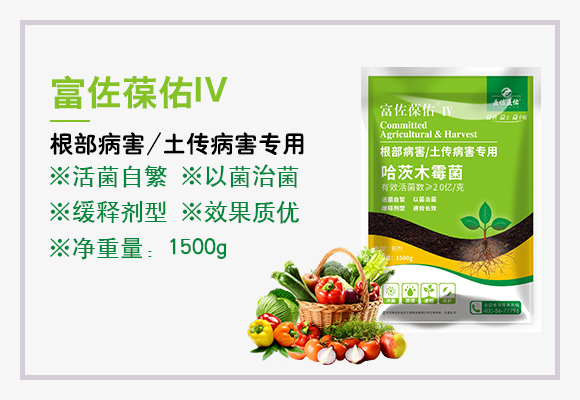 哈茨木霉?富佐葆佑IV_03.jpg