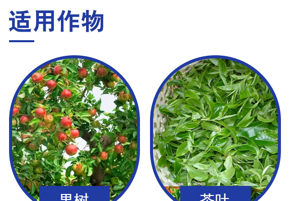 寰敓鐗╄弻鍓?淇湡妞嶅疂-鐩婂啘鑲ヤ笟_04.jpg 寰敓鐗╄弻鍓?淇湡妞嶅疂-鐩婂啘鑲ヤ笟_04.jpg
