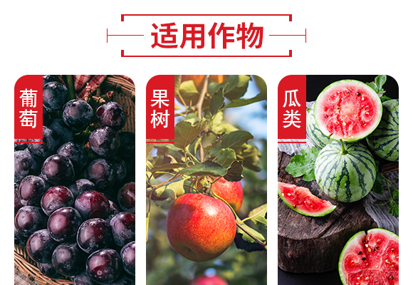 25%鍣昏櫕鍡按鍒嗘暎綺掑墏-寰峰悕鏃犳儏_05.jpg