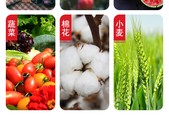 25%鍣昏櫕鍡按鍒嗘暎綺掑墏-寰峰悕鏃犳儏_06.jpg