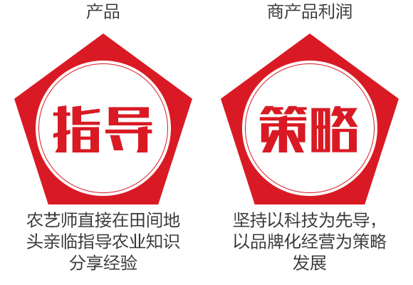 25%鍣昏櫕鍡按鍒嗘暎綺掑墏-寰峰悕鏃犳儏_08.jpg