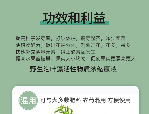 鍩冨強鑹炬牸娉板厠鍥介檯鍐滀笟寮€鍙戞妧鏈泦鍥㈡湁闄愬叕鍙?_04.jpg 鍩冨強鑹炬牸娉板厠鍥介檯鍐滀笟寮€鍙戞妧鏈泦鍥㈡湁闄愬叕鍙?_04.jpg