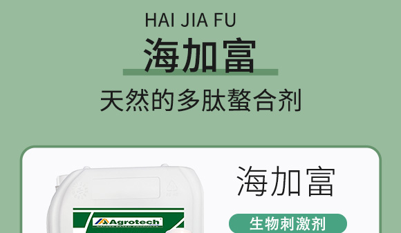 鍩冨強鑹炬牸娉板厠鍥介檯鍐滀笟寮€鍙戞妧鏈泦鍥㈡湁闄愬叕鍙?_06.jpg 鍩冨強鑹炬牸娉板厠鍥介檯鍐滀笟寮€鍙戞妧鏈泦鍥㈡湁闄愬叕鍙?_06.jpg