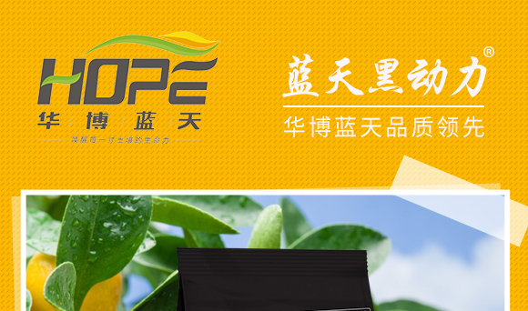 华博蓝天国际控股集团Q香港）U技研发有限公司4_01.jpg