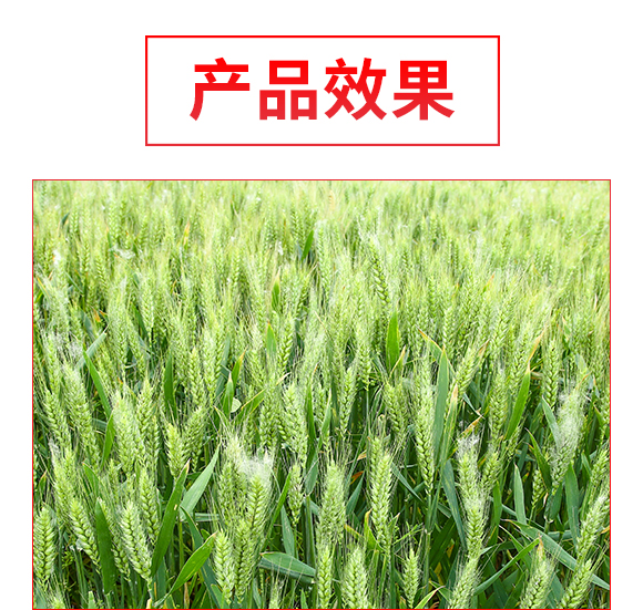 杈夊幙甯傝鮑鍖楃涓氭湁闄愬叕鍙?瑗垮啘100_04.jpg