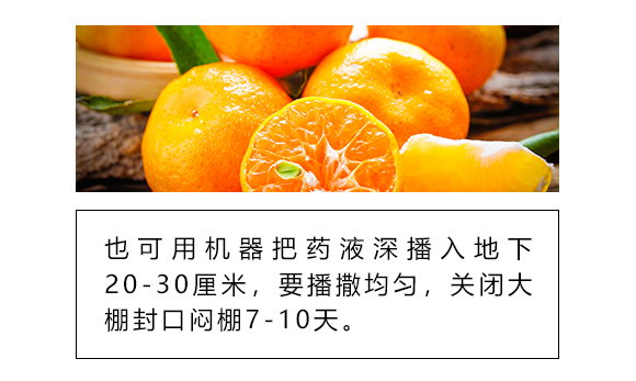 1_06.jpg 1_06.jpg