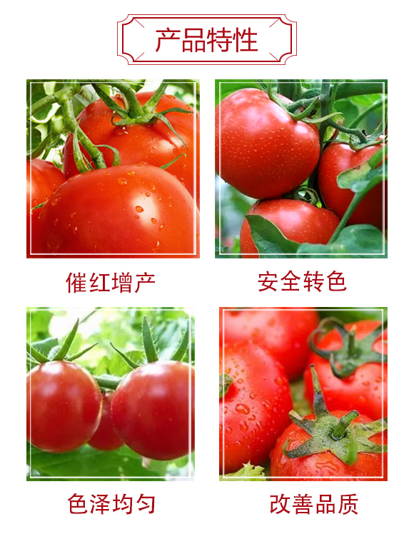 瑗跨孩鏌夸竴鍠風孩-鍐犵帥鐢熺墿_03.jpg 瑗跨孩鏌夸竴鍠風孩-鍐犵帥鐢熺墿_03.jpg