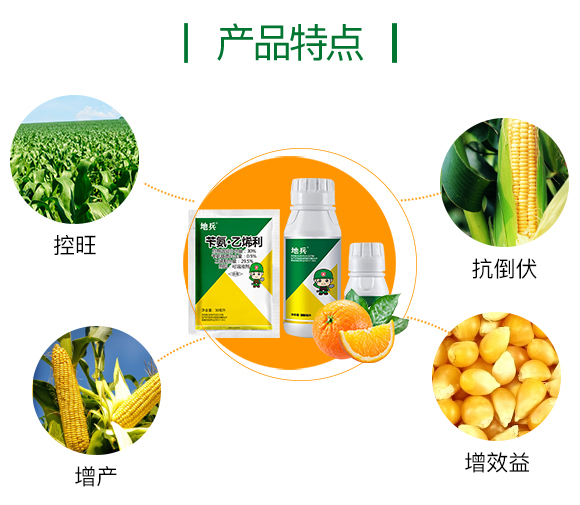 娌沖崡鍛ㄥ彛甯備腑縐戝寲宸ユ湁闄愬叕鍙竉03.jpg