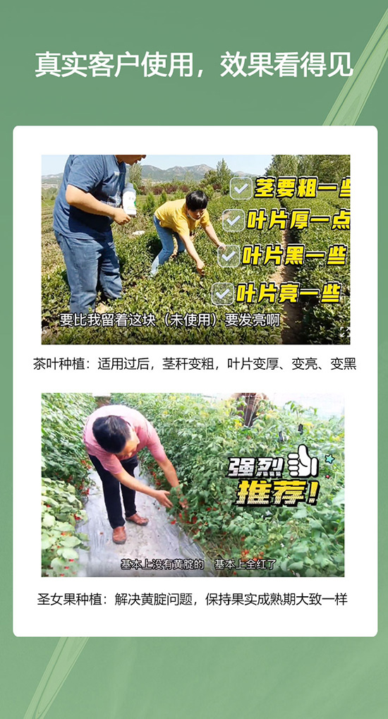 2.jpg 2.jpg