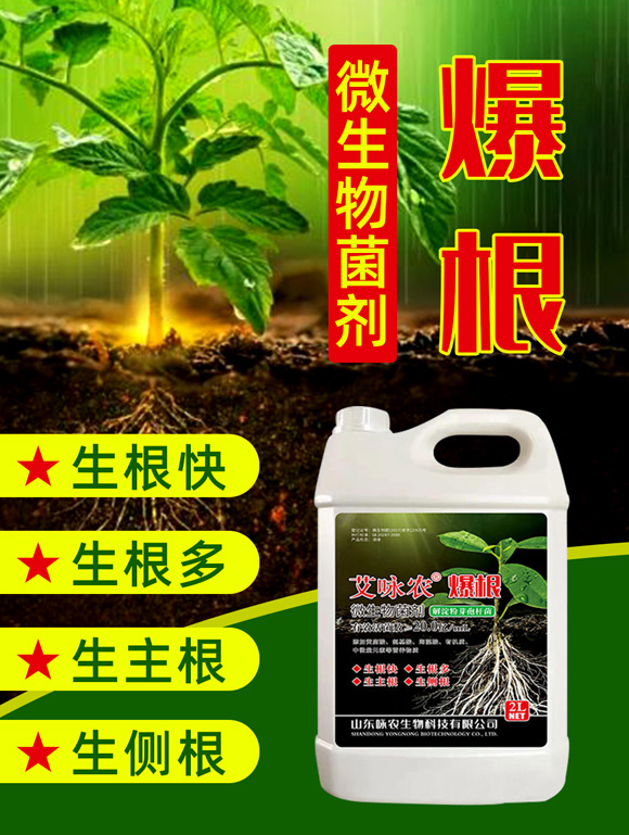 艾詠農-佳禾宜農_01.jpg 艾詠農-佳禾宜農_01.jpg