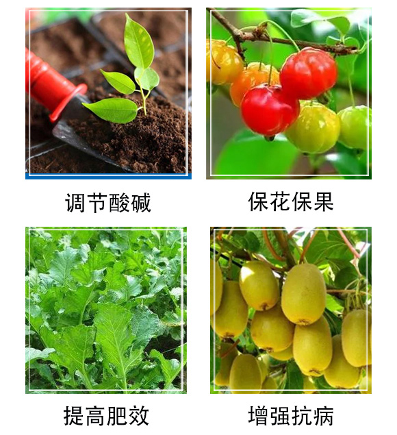 豆磷脂微生物菌劑-中藍農業_05.jpg 豆磷脂微生物菌劑-中藍農業_05.jpg